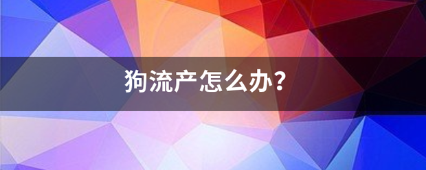 狗狗吃药后流产-妈咪助手