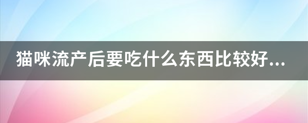 猫咪吃药流产食谱宝宝插图