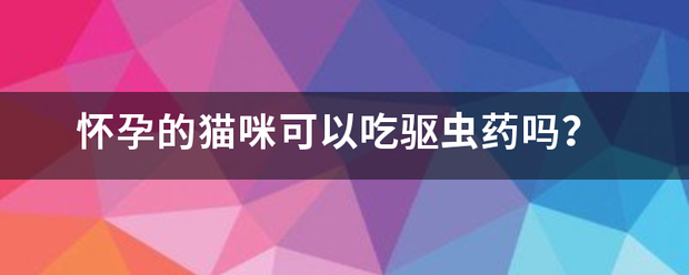 猫怀孕多久可以吃药流产-妈咪助手