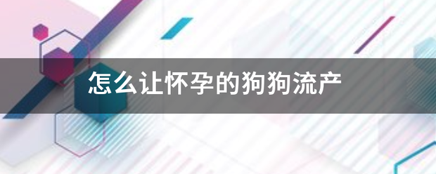 狗怀孕45天怎么吃药流产插图