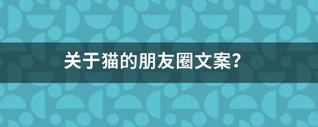 猫咪流产吃药文案怎么说插图