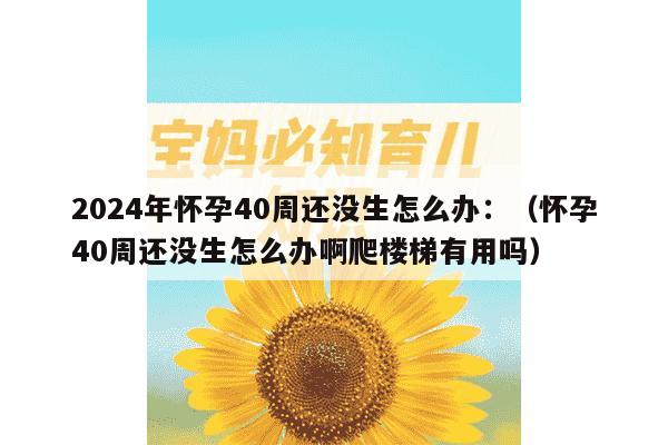 2024年怀孕40周还没生怎么办：（怀孕40周还没生怎么办啊爬楼梯有用吗）-妈咪助手