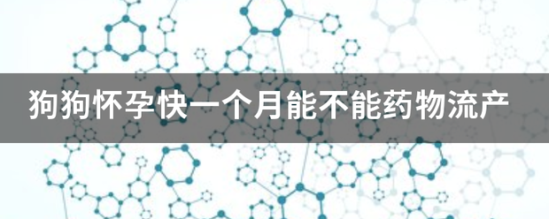 小狗狗可以吃药流产吗-妈咪助手