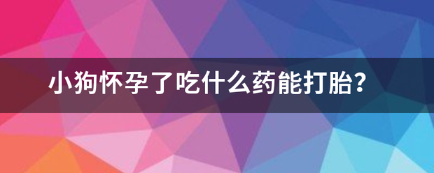 狗怀孕了吃药能流产吗-妈咪助手