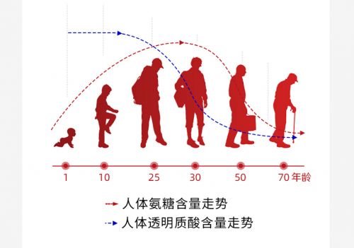 营养屋谷比利， 为你的关节注入活力