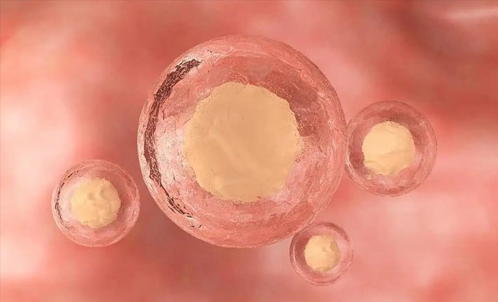 囊胚质量等级划分，分享移植后成功率着床时间插图1