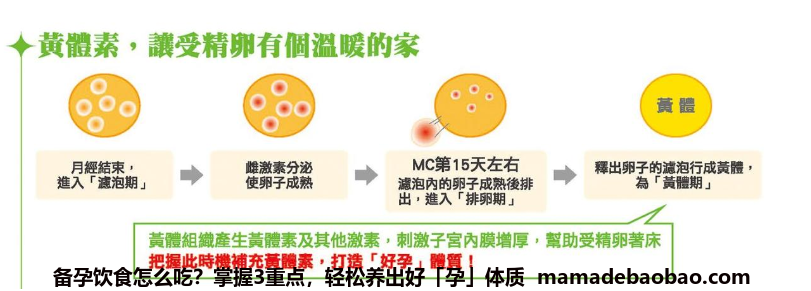 备孕饮食怎么吃？掌握3重点，轻松养出好「孕」体质插图1