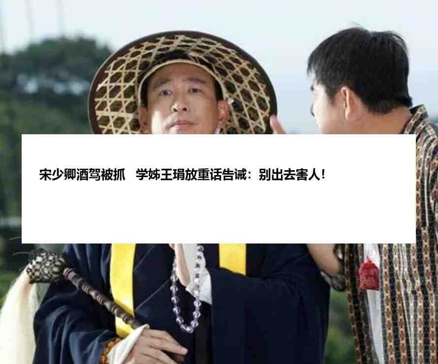 宋少卿酒驾被抓   学姊王琄放重话告诫：别出去害人！插图