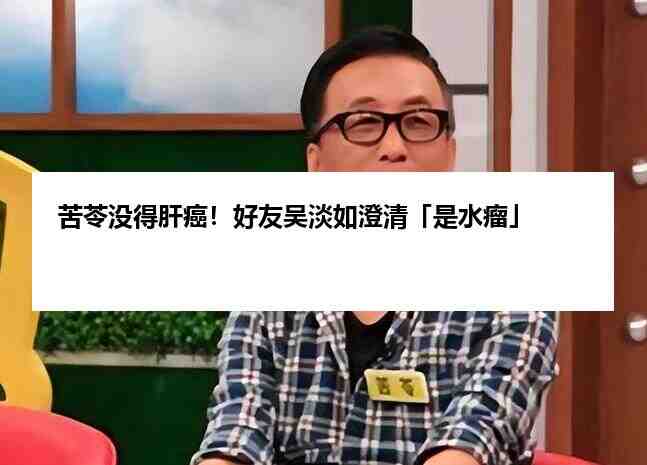 苦苓没得肝癌！好友吴淡如澄清「是水瘤」插图