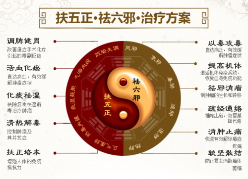 郑州第二中医院肿瘤科：专业改善癌症体质，有效抑制复发转移插图2