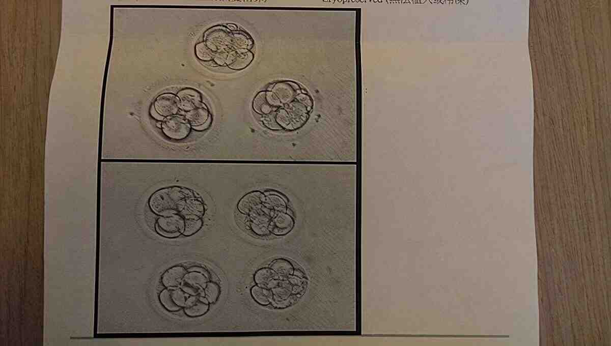 悄悄话：求子血泪史，第一次试管疗程，植入、开奖插图